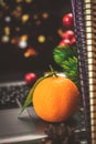 Festive winter still life with mandarin or tangerin on background of books, laptop and garlad bokeh, holidays at home Royalty Free Stock Photo