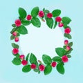 Wreath of roses with leaves and empty space inside on a blue background.Beautiful greeting card Valentine`s day, Wedding Royalty Free Stock Photo