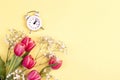 Festive yellow background with tulip flowers and alarm clock. Place for text Royalty Free Stock Photo