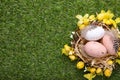 Festively decorated Easter eggs on green grass, top view. Space for text