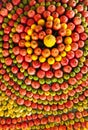 Festively fruits decorated ceiling in Samaritans house