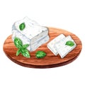 Greek feta cheese block and basil herb composition on wooden cutting board. Watercolor illustration isolated on a white Royalty Free Stock Photo