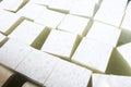 Feta cheese production cubes Royalty Free Stock Photo