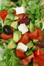 Feta Cheese Salad 2 Royalty Free Stock Photo