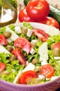 Feta-cheese salad