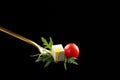 Feta cube cheese with arugula and ripe cherry tomatoes salad on a golden fork