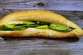 Feta white cheese with slices of fresh cucumbers and green peppers in a Long sesame bun bread, a fresh baked loaf of bread French