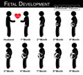 Fetal development