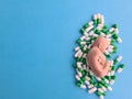 Fetal embryo model and medical drug pills