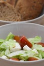 Fetta salad portion and bread