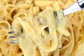 Fettuccine Alfredo Pasta Fork Close Royalty Free Stock Photo