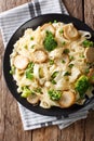 Fettuccine with fried mushrooms, cheese, broccoli and peas close Royalty Free Stock Photo