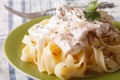 Fettuccine pasta with chicken and cream sauce close-up. Horizont Royalty Free Stock Photo