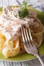 Fettuccine pasta with chicken and cream sauce close-up. vertical Royalty Free Stock Photo