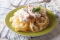 Fettuccine pasta in cream sauce with chicken closeup. horizontal Royalty Free Stock Photo