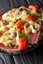 Fettuccine pasta with fried tuna steak, tomatoes and capers close-up on a plate. vertical Royalty Free Stock Photo