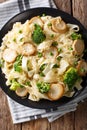 Fettuccine pasta with mushrooms king oyster, broccoli and peas c Royalty Free Stock Photo