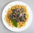Fettuccini and mushroom sauce from above Royalty Free Stock Photo