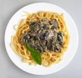 Fettuccini and mushroom sauce from above