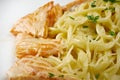 Fettuccini pasta with salmon Royalty Free Stock Photo