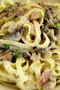 Fettucini Carbonara Royalty Free Stock Photo