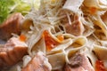 Fetuccini with salmon. Pasta with salmon, close-up