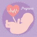 fetus and heart Royalty Free Stock Photo
