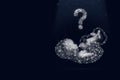 Fetus hologram with question mark on dark blue background. Pregnancy planning. Who should the boy or the girl will be born.