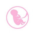 Fetus icon in a pink baby color. Embryol logo.