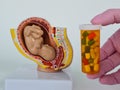 Fetus medicine embryo model and treatment