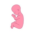 Fetus 9 month doodle icon