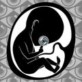 Fetus in womb Royalty Free Stock Photo