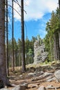Feuersteinklippe near Schierke in the Harz National Park Royalty Free Stock Photo