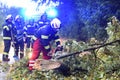 Dispowering of reduced trees - fire brigade