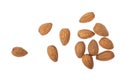 A few almonds isolated