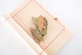 A few bay leaves on a notebook Royalty Free Stock Photo