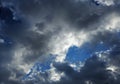 A few birds against a background of storm clouds with a small patch of blue sky