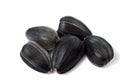 Few black sunflower seeds close up. Royalty Free Stock Photo