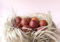 Few brown eggs in the nest, Easter, boiled eggs