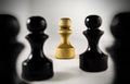 A few chessmen Royalty Free Stock Photo