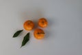 A few Clementine fruits along with its leaves Royalty Free Stock Photo