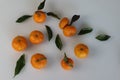 A few Clementine fruits along with its leaves Royalty Free Stock Photo