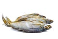 Few cured white-eye bream Ballerus sapa fishes isolated on a white