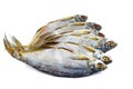 Few cured white-eye bream Ballerus sapa fishes isolated on a white