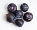 Few dried juniper berries close up on gray Royalty Free Stock Photo