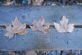 A few fallen Maple tree leaves on a wooden park bench Autumn Royalty Free Stock Photo