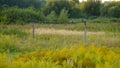 A few forty sitting on homemade gates, against the background of green meadows. Royalty Free Stock Photo