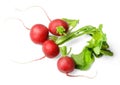 A few fresh early radishes with green leaves on a white isolated background. Top view.