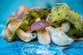 Few freshly gathered Boletus edulis mushrooms laying on the blue background