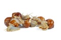 Few grape snails isolated on a white Royalty Free Stock Photo